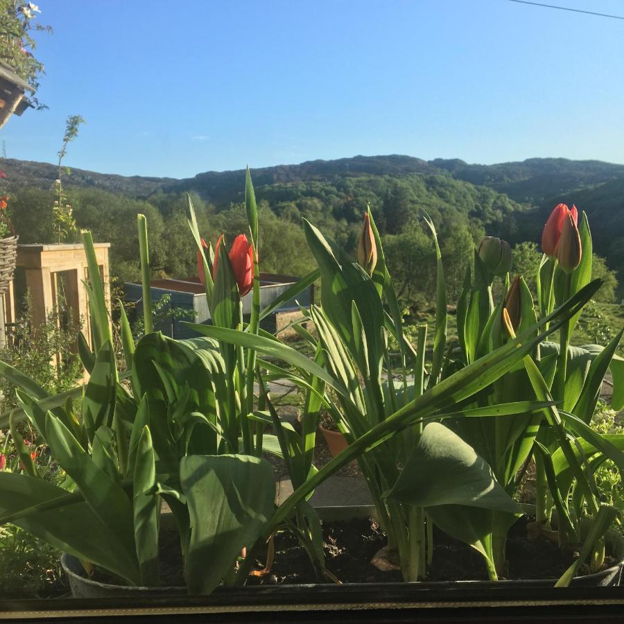 Ardmore House B&B Lochinver Zewnętrze zdjęcie